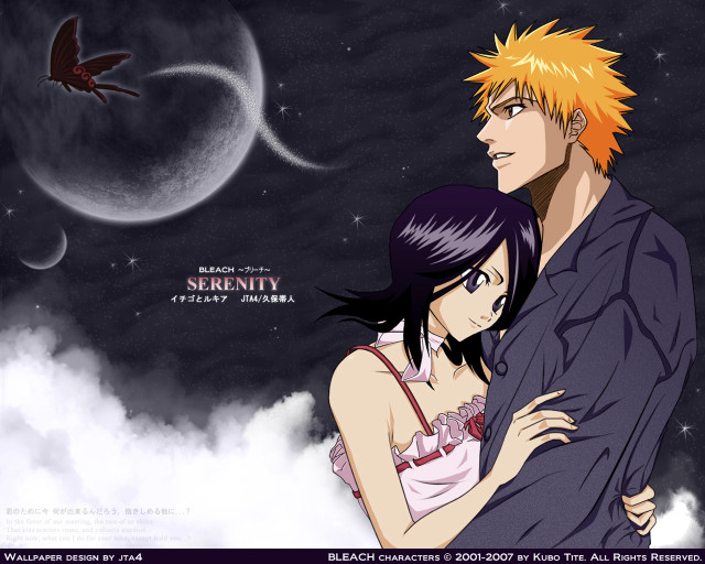 Moon bird couple aurora fireflies free wallpaper - medium preview image
