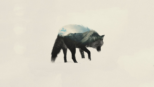 Wolf snow mountain sky clouds free wallpaper - medium preview image
