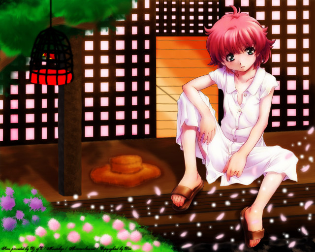 Girl bench building birdcage cherryblossoms free wallpaper - medium preview image