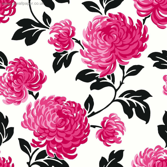 Pink flower white background black free wallpaper - medium preview image