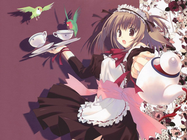 Alice prin maid bird tea free wallpaper - medium preview image