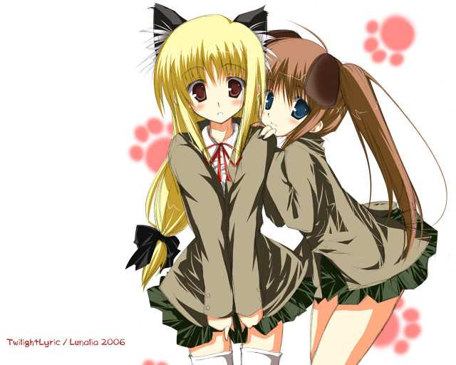 Anime girls cat ears rayonism free wallpaper - medium preview image