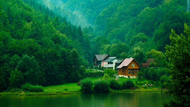 House forest lake background nature free wallpaper - medium preview image