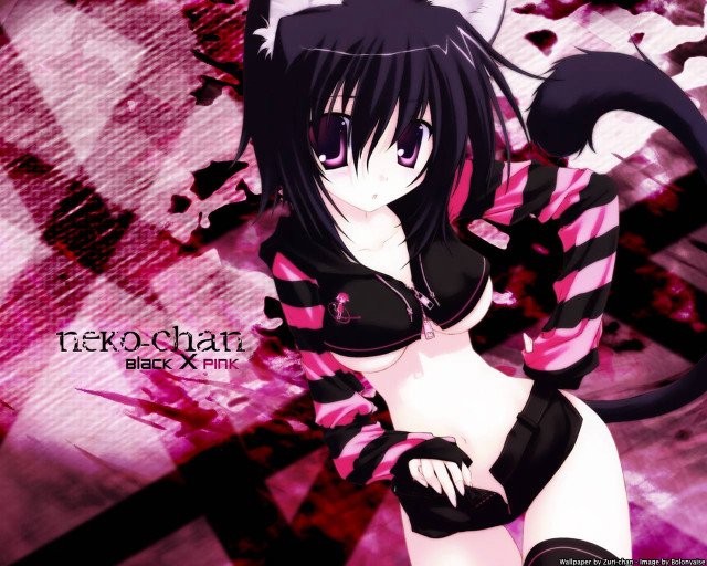 Pink black outfit cat tail free wallpaper - medium preview image