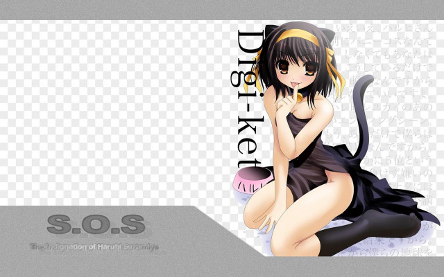 Black dress woman cat sitting free wallpaper - medium preview image