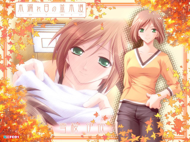Green eyes brown hair autumn #2 free wallpaper - medium preview image