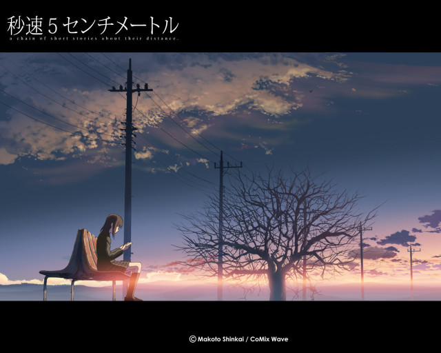 Bench tree sky clouds dusk free wallpaper - medium preview image