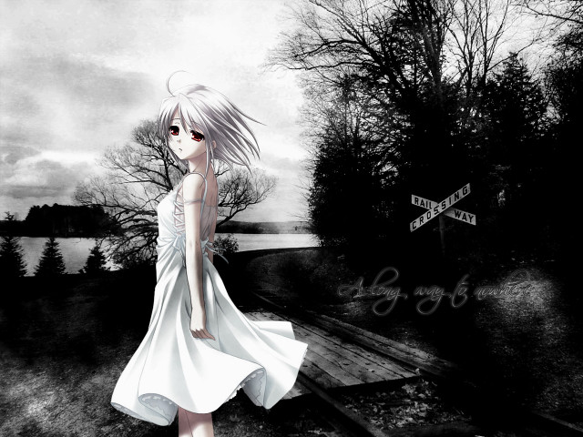 Girl white dress forest night free wallpaper - medium preview image