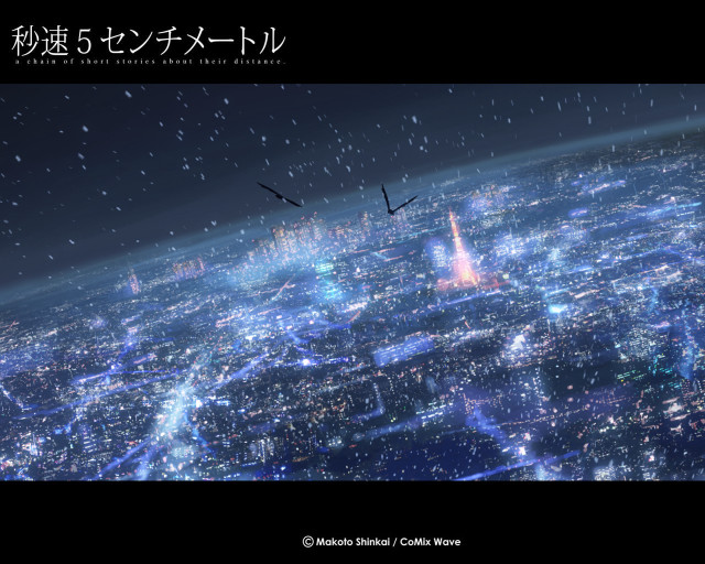 City night bird flying matte free wallpaper - medium preview image