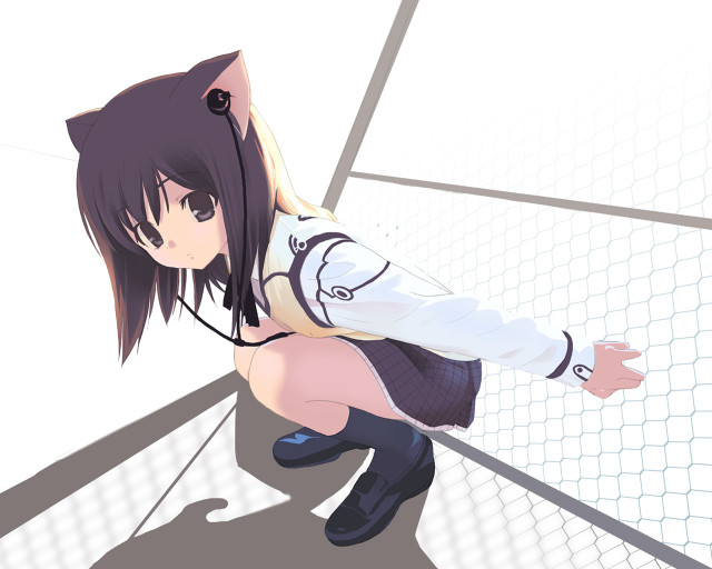 Cat suit woman shoulder cat free wallpaper - medium preview image