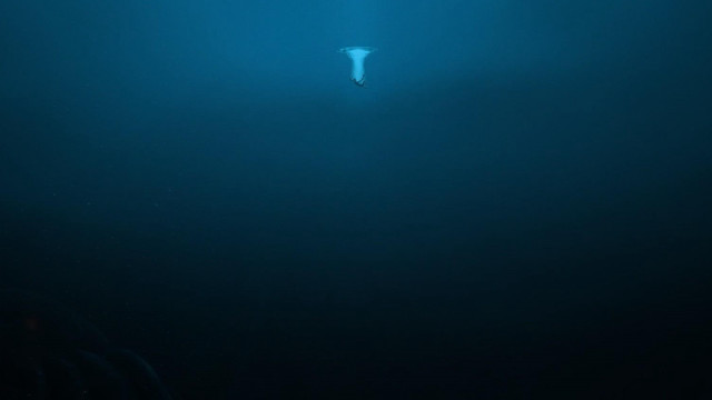 Person surfboard water dark blue free wallpaper - medium preview image