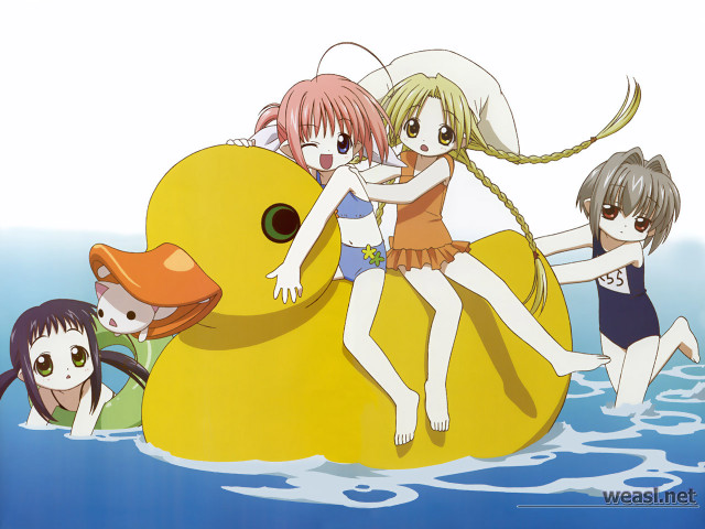 Girls rubberduck water manga beach free wallpaper - medium preview image