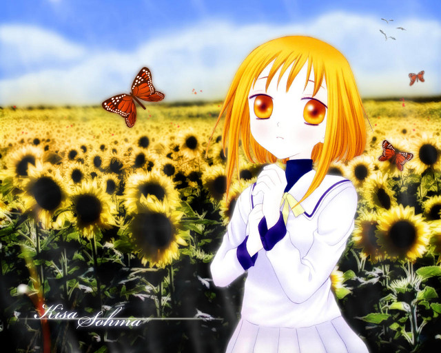 Girl sunflower field butterflies anime free wallpaper - medium preview image