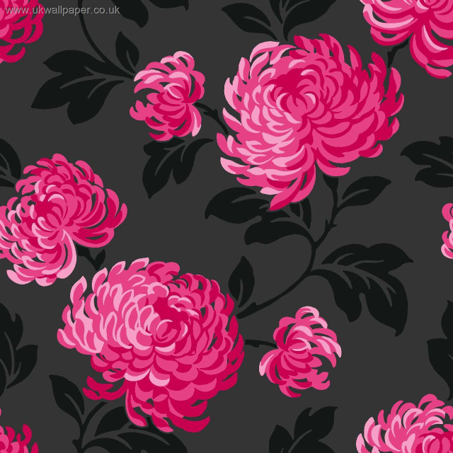Pink flower black background leaves free wallpaper - medium preview image