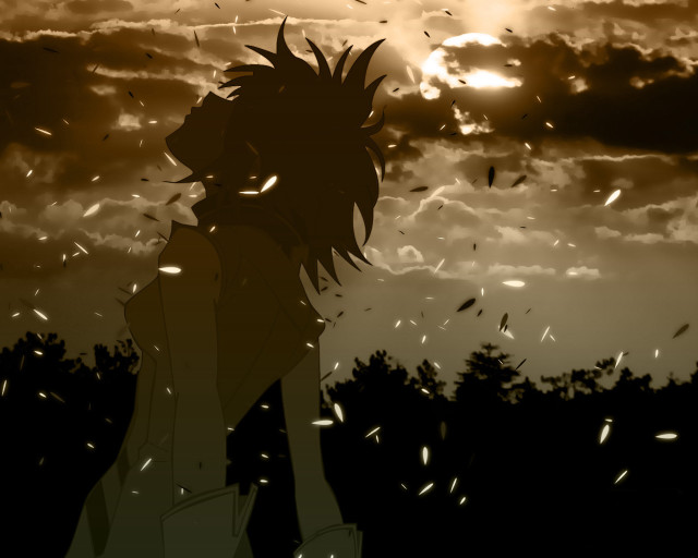Silhouette sunset birds tree matte free wallpaper - medium preview image