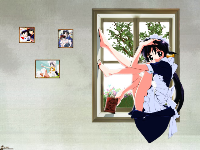 Woman dress window wall tree free wallpaper - medium preview image