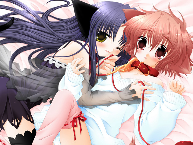 Anime girls hugging cat ears free wallpaper - medium preview image