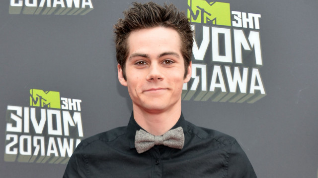 Man bowtie pose picture wall free wallpaper - medium preview image