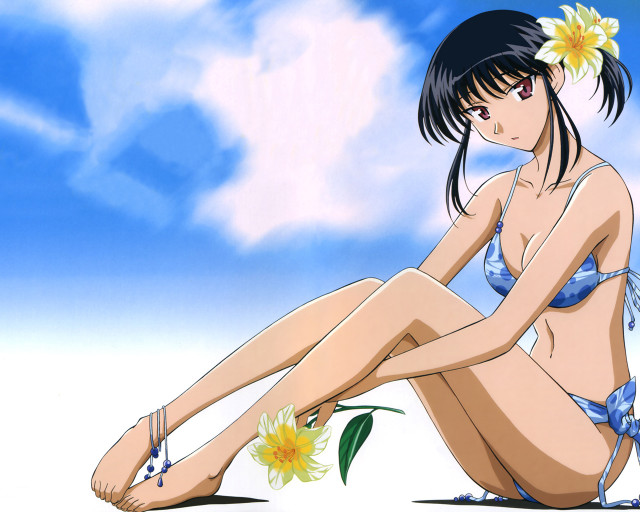 Woman bikini flower sitting beach free wallpaper - medium preview image