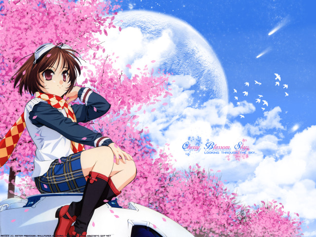 Girl sitting car tree pink free wallpaper - medium preview image