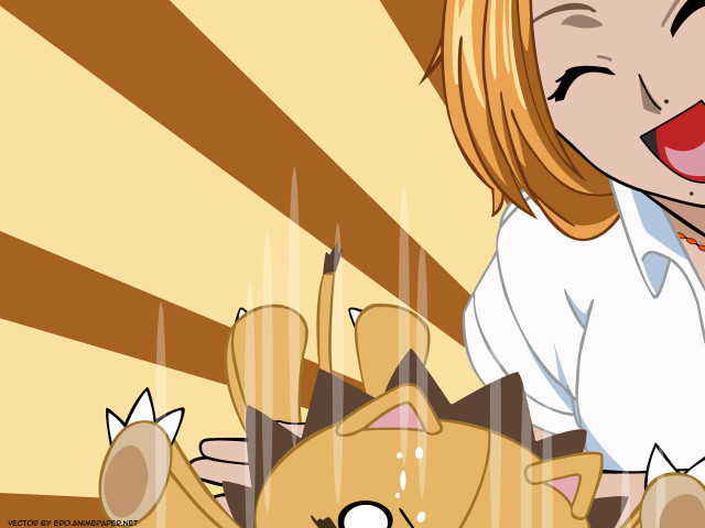 Woman cat table lap ground free wallpaper - medium preview image