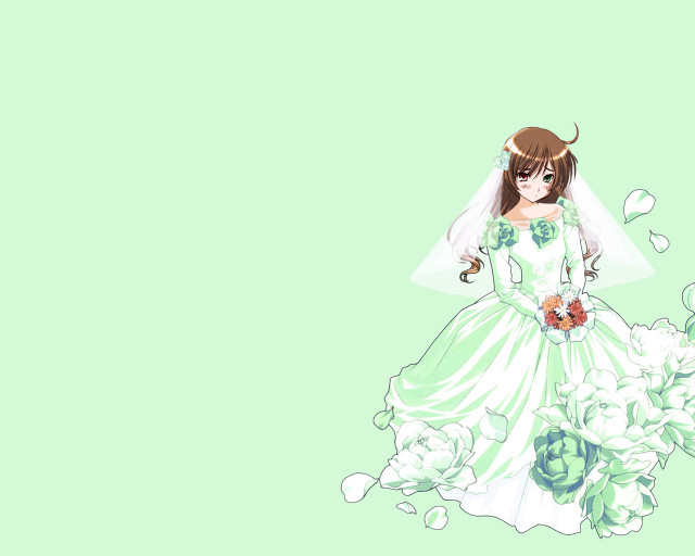 Wedding dress flower veil green free wallpaper - medium preview image