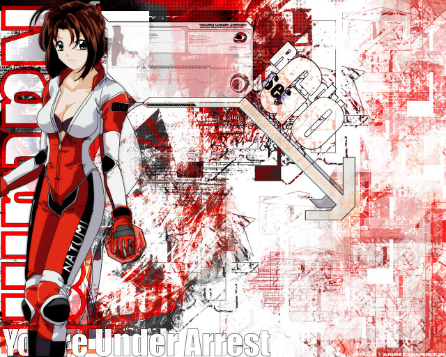 Red blooded helmeted girl anime free wallpaper - medium preview image