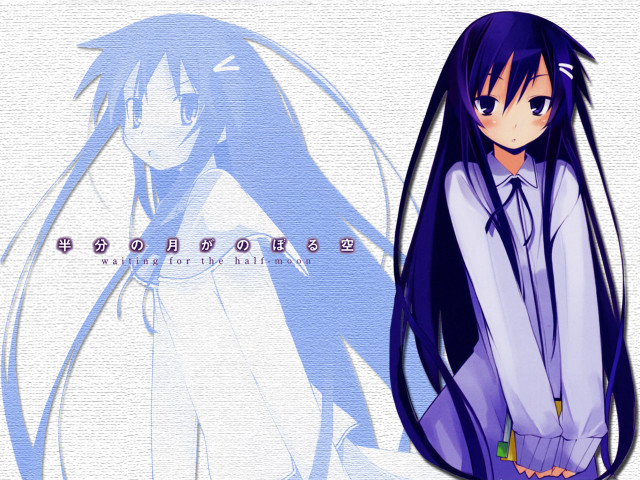 Anime longhair purpleoutfit blush blueeyes free wallpaper - medium preview image