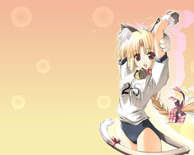 Anime girl cat ears white free wallpaper - medium preview image