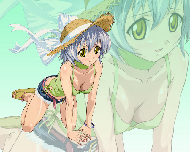 Girl bikini surfboard cat dog free wallpaper - medium preview image