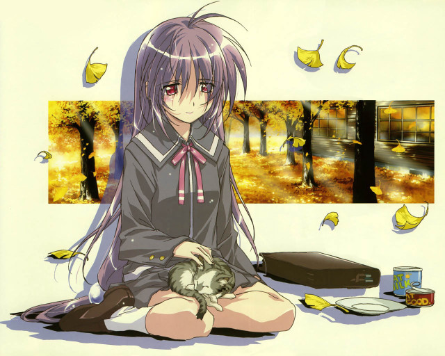Girl cat ribbon school moon free wallpaper - medium preview image