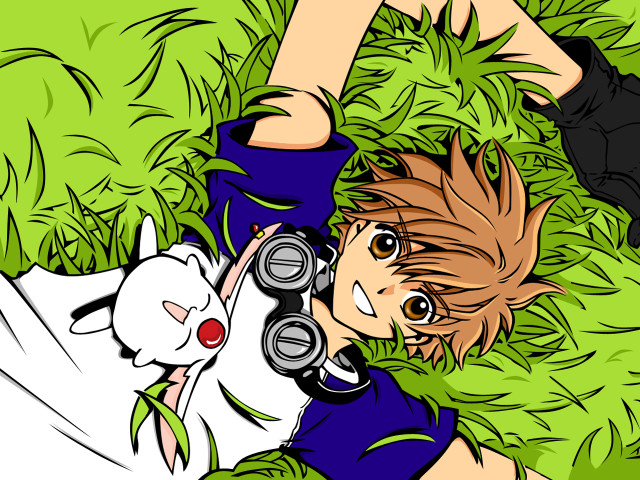 Boy grass camera cat anime free wallpaper - medium preview image