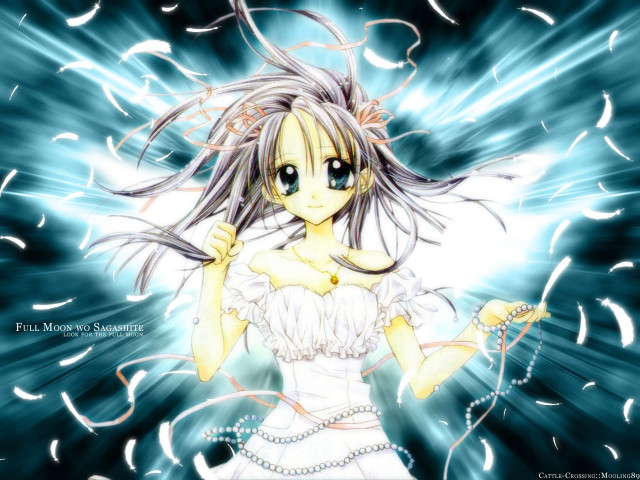 Angelic aqua wings dove feathers free wallpaper - medium preview image