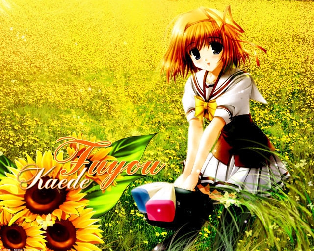 Girl bike sunflowers tokyo album free wallpaper - medium preview image