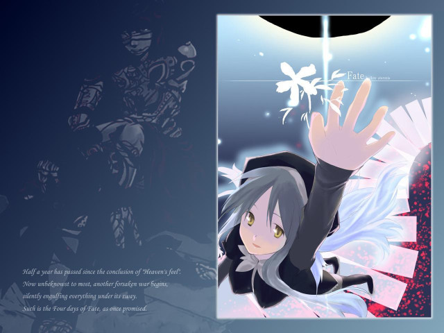 Girl blackjacket white tail flying free wallpaper - medium preview image