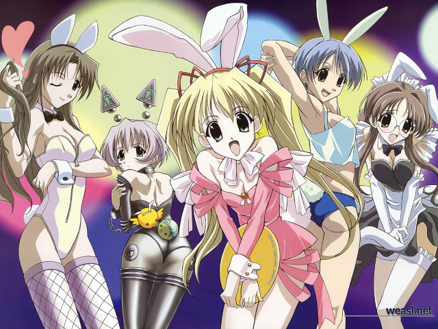 Anime bunny girls leotard moon free wallpaper - medium preview image