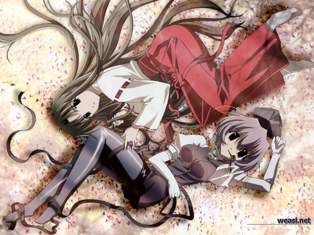 Anime girls hanami cherry blossoms free wallpaper - medium preview image