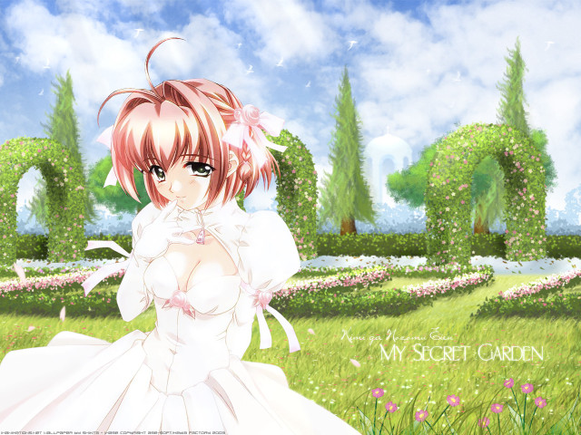 Woman dress field flower sky free wallpaper - medium preview image