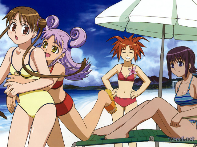 Three girls beach bathing suits #2 free wallpaper - medium preview image