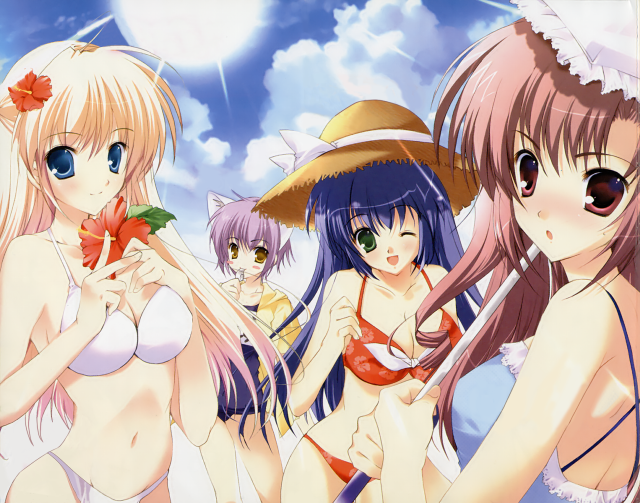Sky beach girls hats bikinis free wallpaper - medium preview image