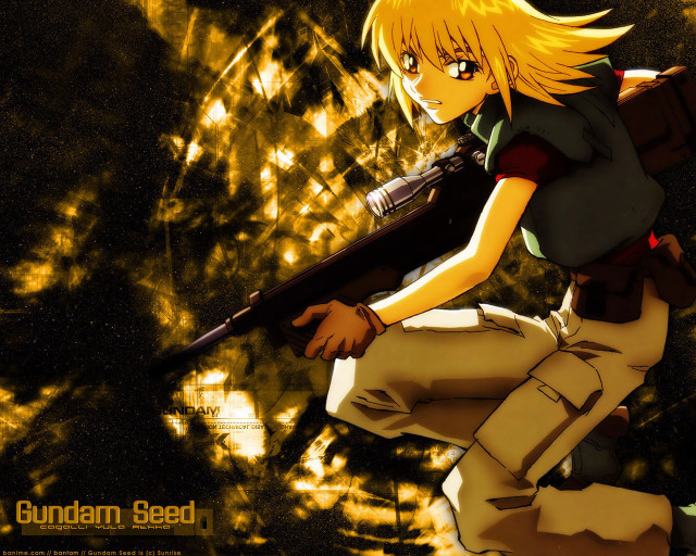 Girl gun starry sky aurora free wallpaper - medium preview image