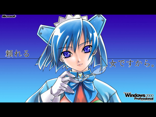 Anime bluehair cat ears windows free wallpaper - medium preview image