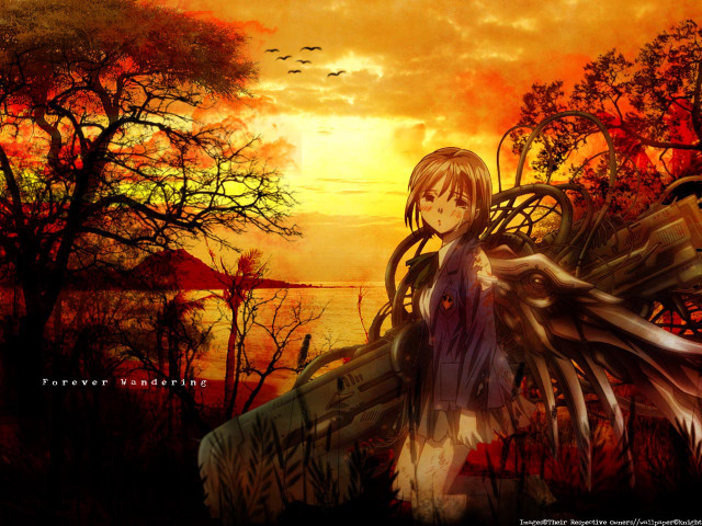 Anime girl long hair bird #2 free wallpaper - medium preview image