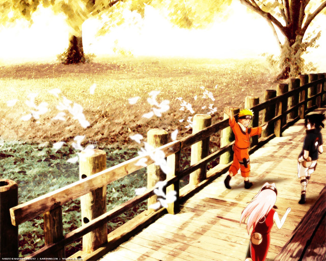 Bridge festival forest birds river free wallpaper - medium preview image