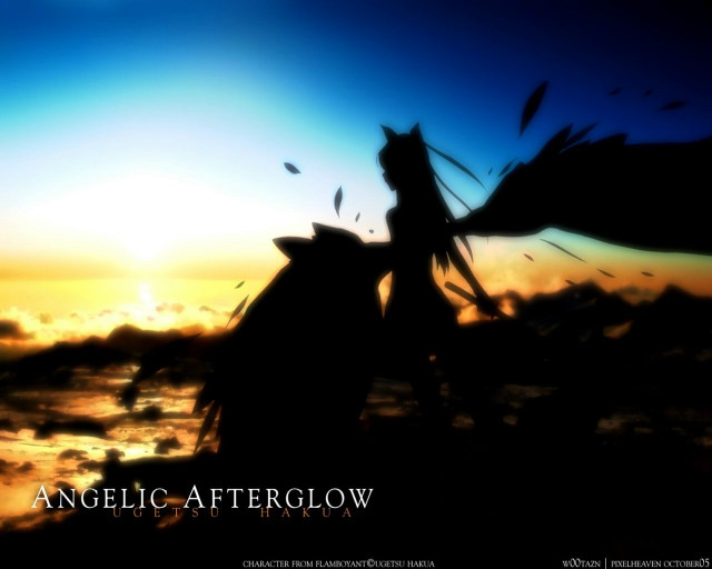 Silhouette woman flag sun bird free wallpaper - medium preview image