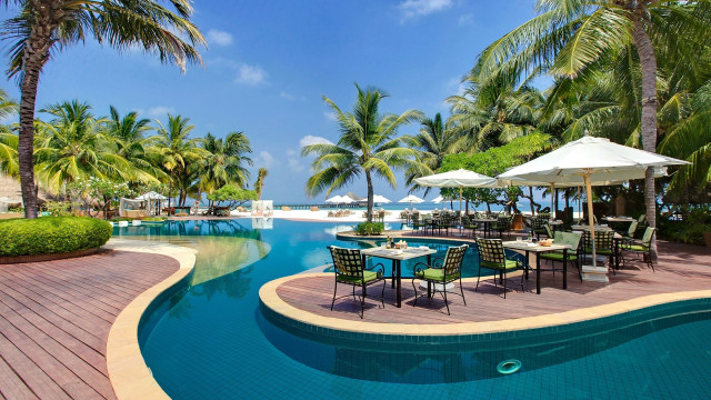 Beach palm trees pool tables free wallpaper - medium preview image