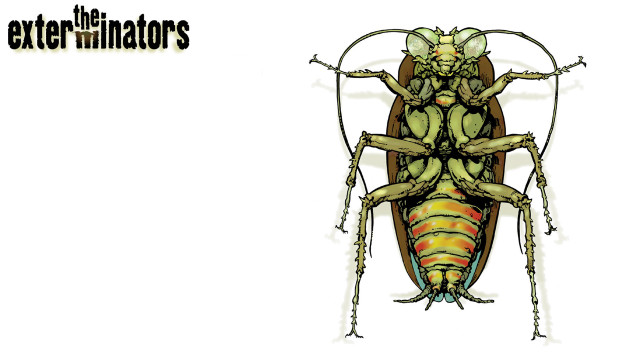 Bug drawing two legs back free wallpaper - medium preview image