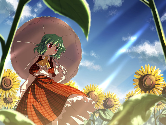 Woman sunflower umbrella plaid dress free wallpaper - medium preview image