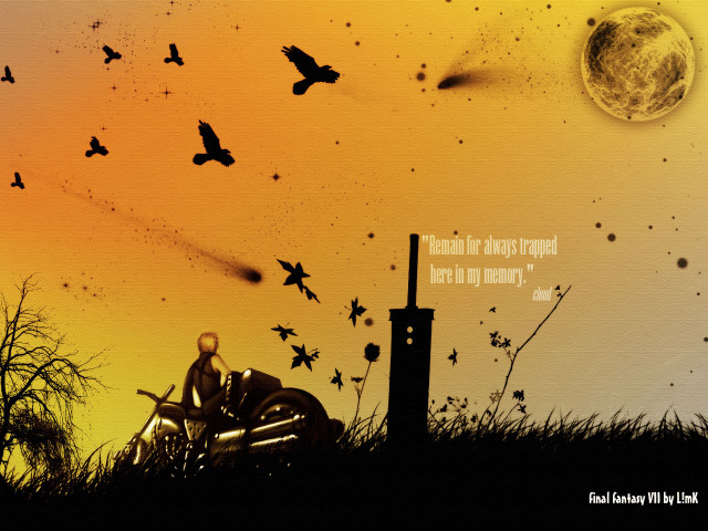 Man motorcycle grass sunset birds free wallpaper - medium preview image