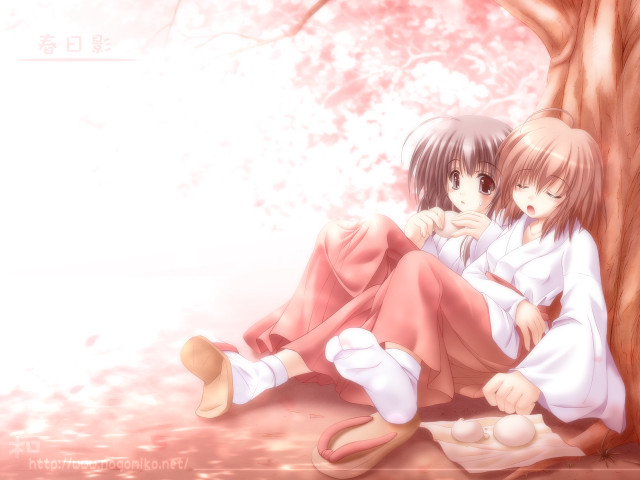 Anime girls hanami kimono sakura free wallpaper - medium preview image